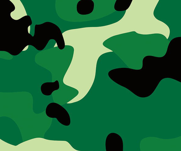 兩（liǎng）色迷彩.jpg
