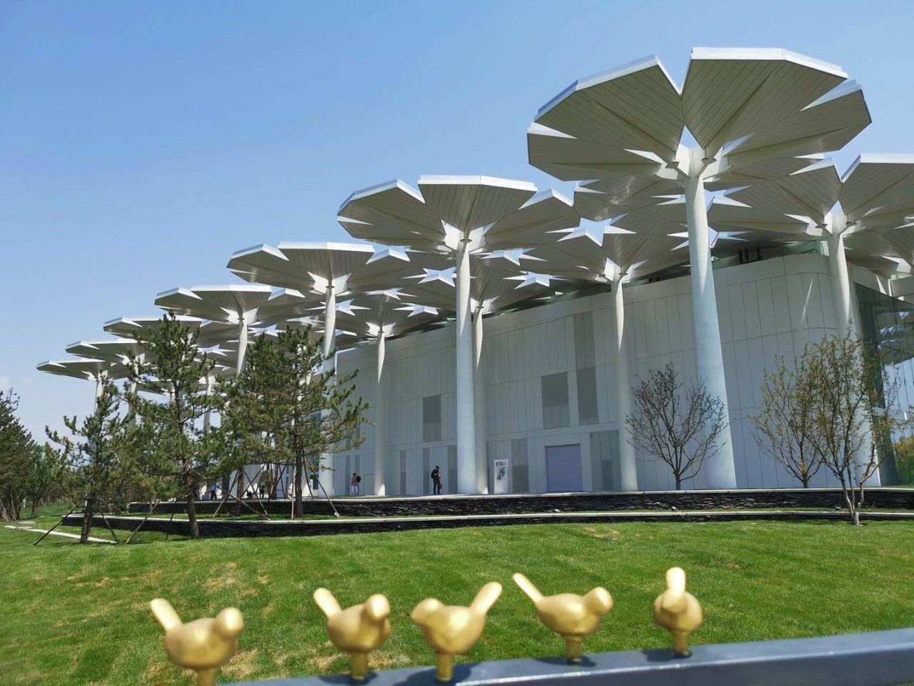 1575018383583110MTgu.jpg 1575018383583110MTgu.jpg