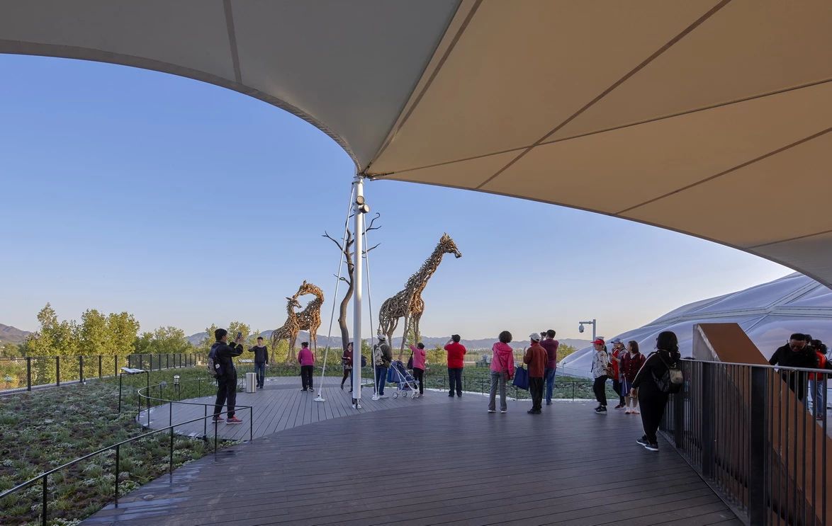 1575018383583110U33t.jpg 1575018383583110U33t.jpg