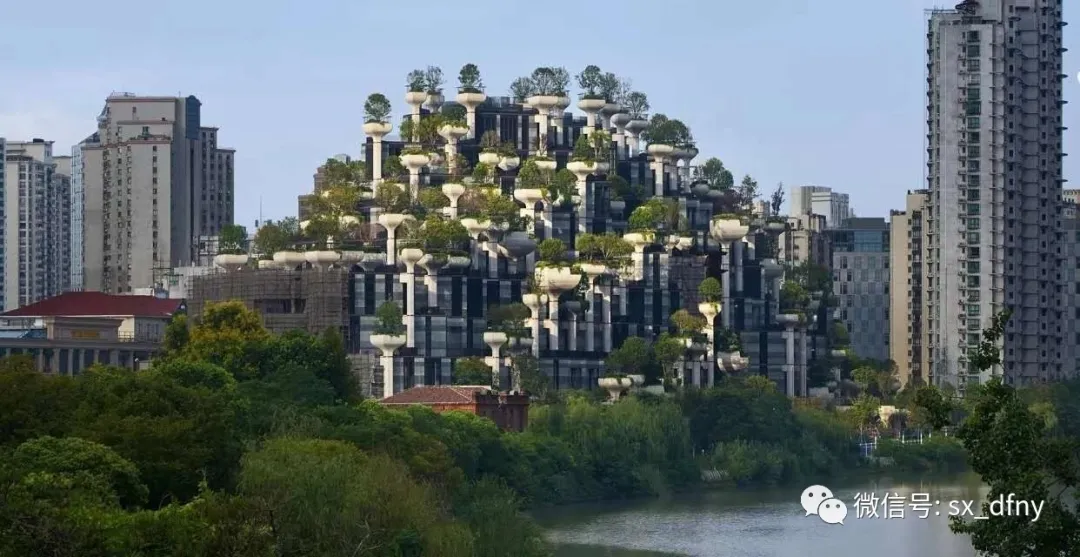 1588746840377152YBeu.jpg 640 (1).jpg