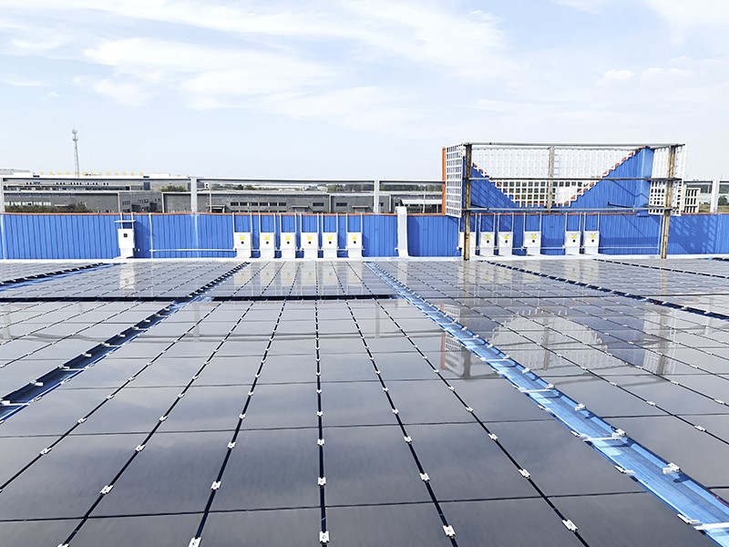 1599200177111122Qcx8.jpg 05.jpg