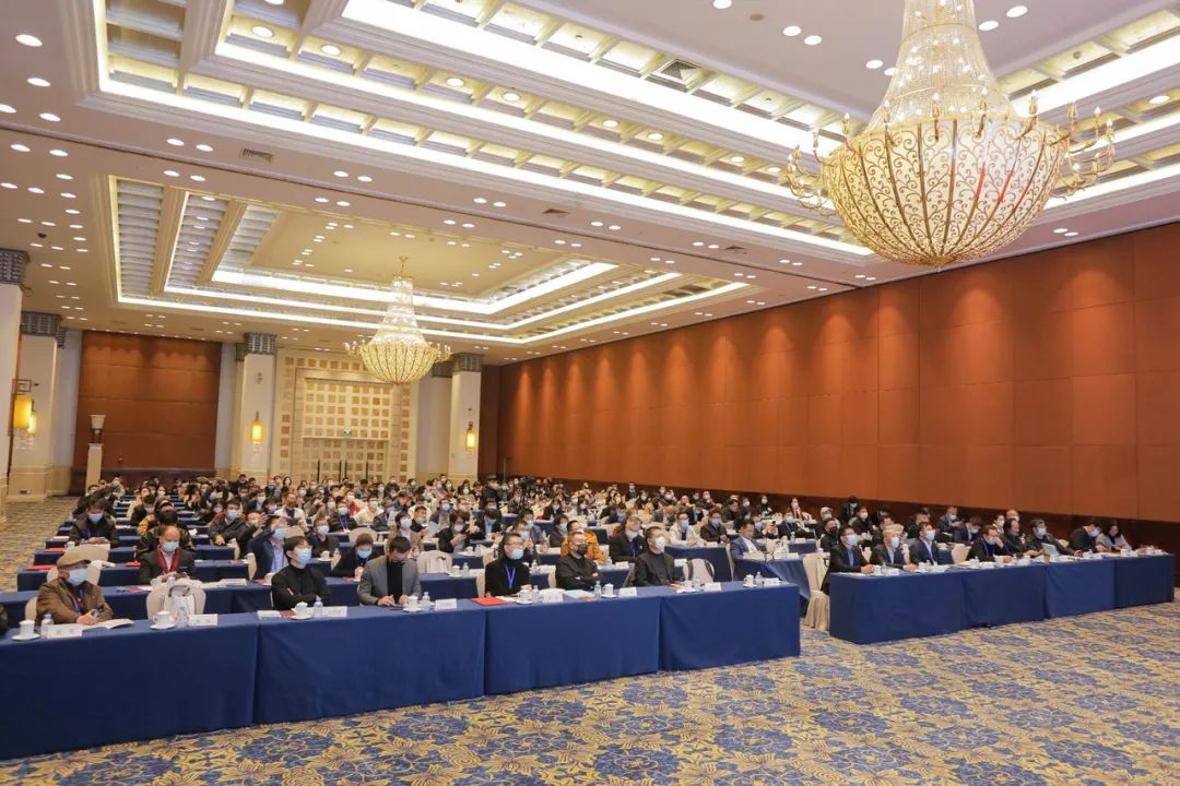 1648099014193382Nm8P.jpg 2.jpg