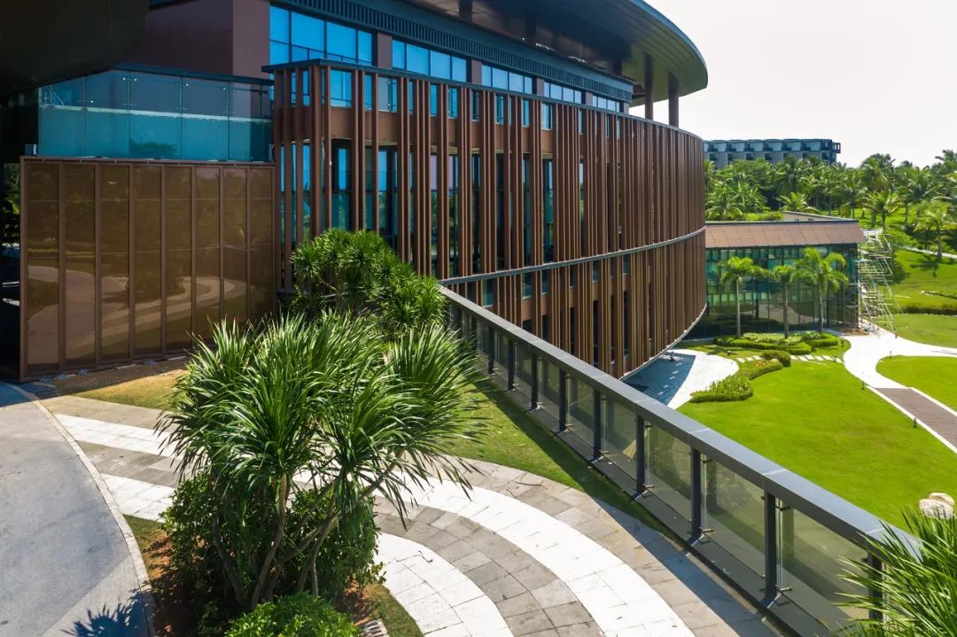 1664500065505105Piwd.jpg 01.jpg