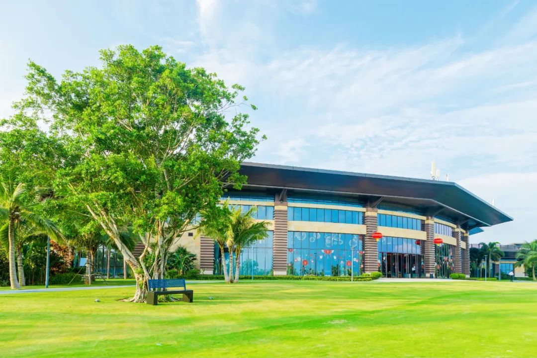 166450011515789586Lk.jpg 02.jpg