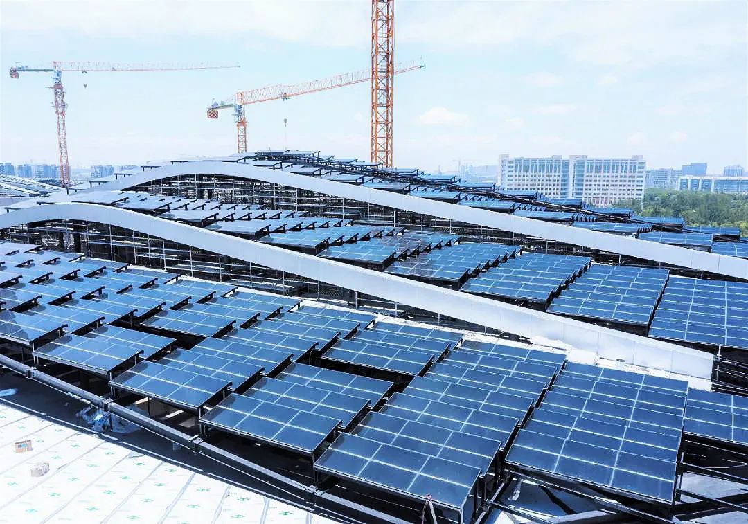 1668146637369487jahc.jpg 09.jpg