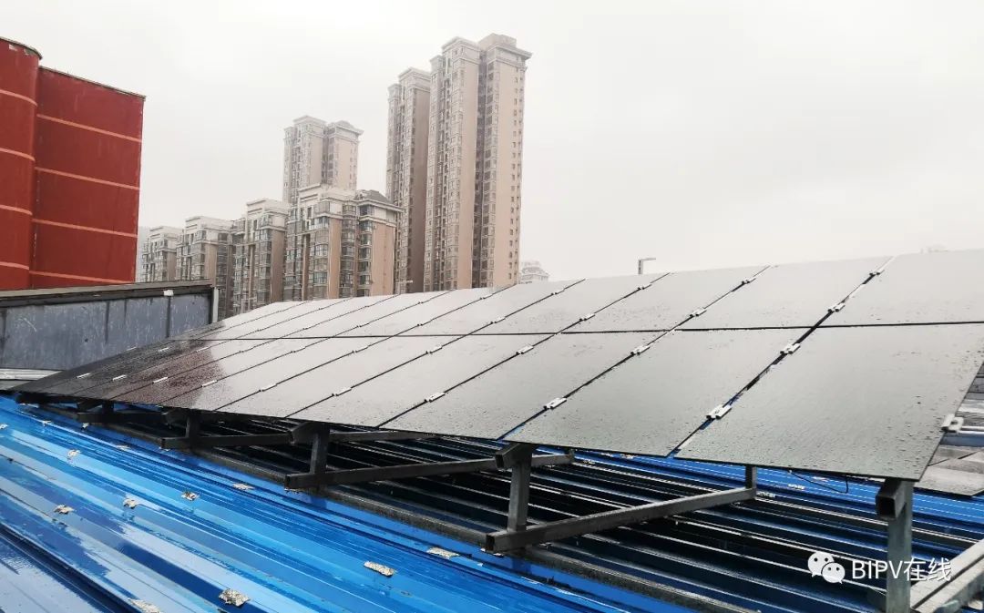 1677812968279721C8GT.jpg 3.jpg