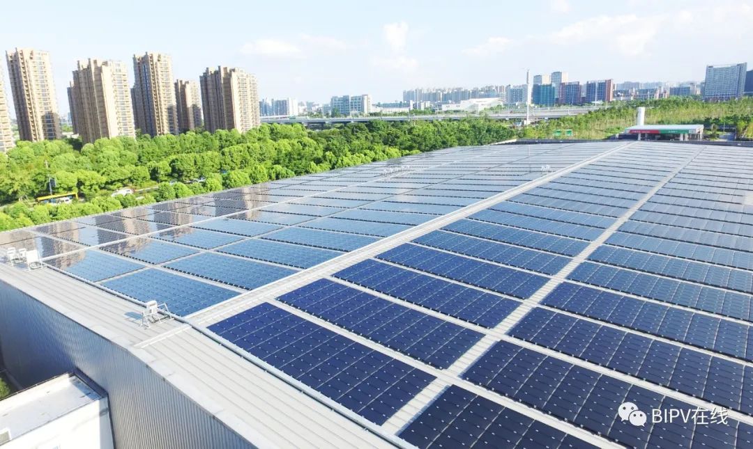 1677813112514892RiMv.jpg 8.jpg