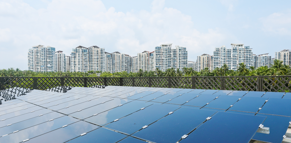 1700112432720918lT0A.png 1.png