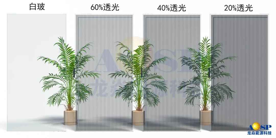 1700121393297833aTZG.jpg 2.jpg