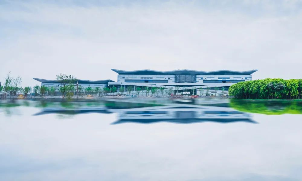 17224119737360359q5T.jpg 1.jpg