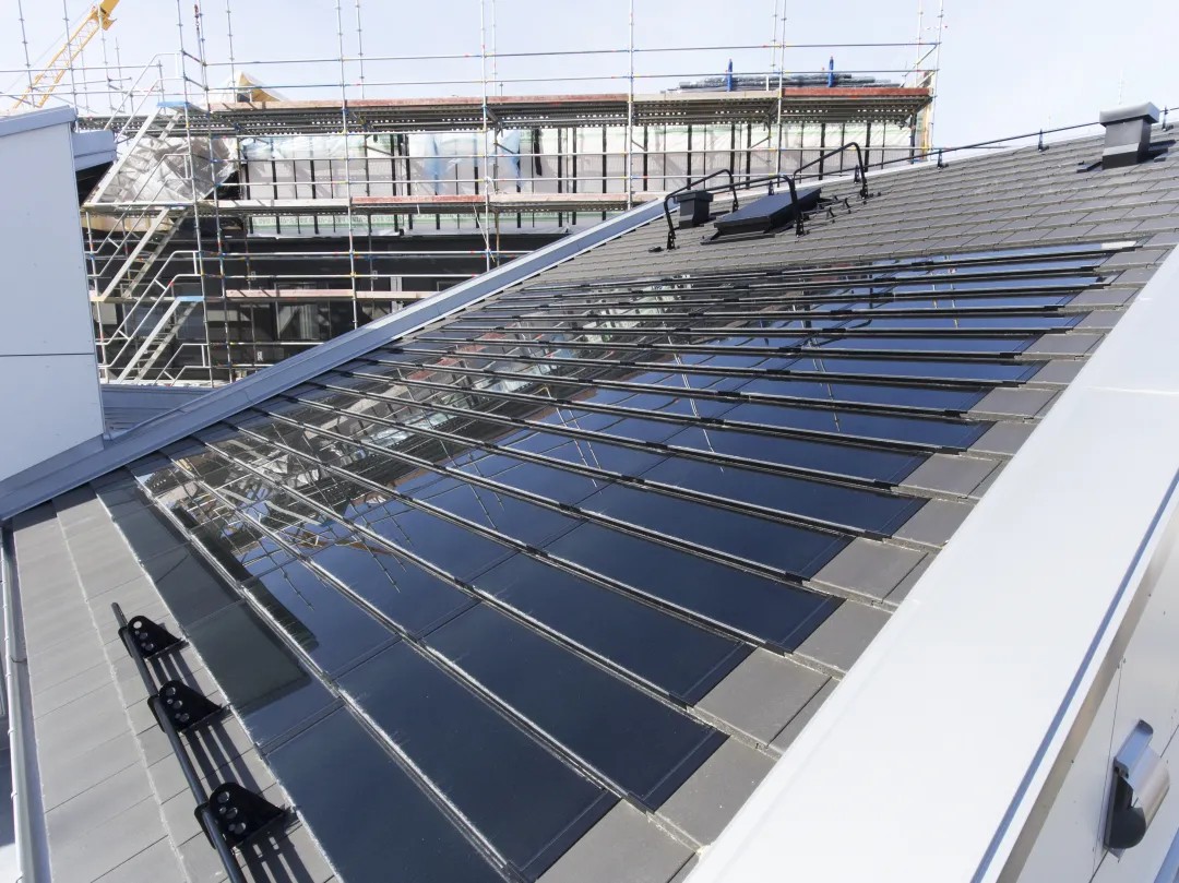 1733473377176622MYOd.jpg 4.jpg