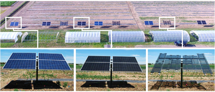 1735288176589355Nkzt.jpg 2.jpg